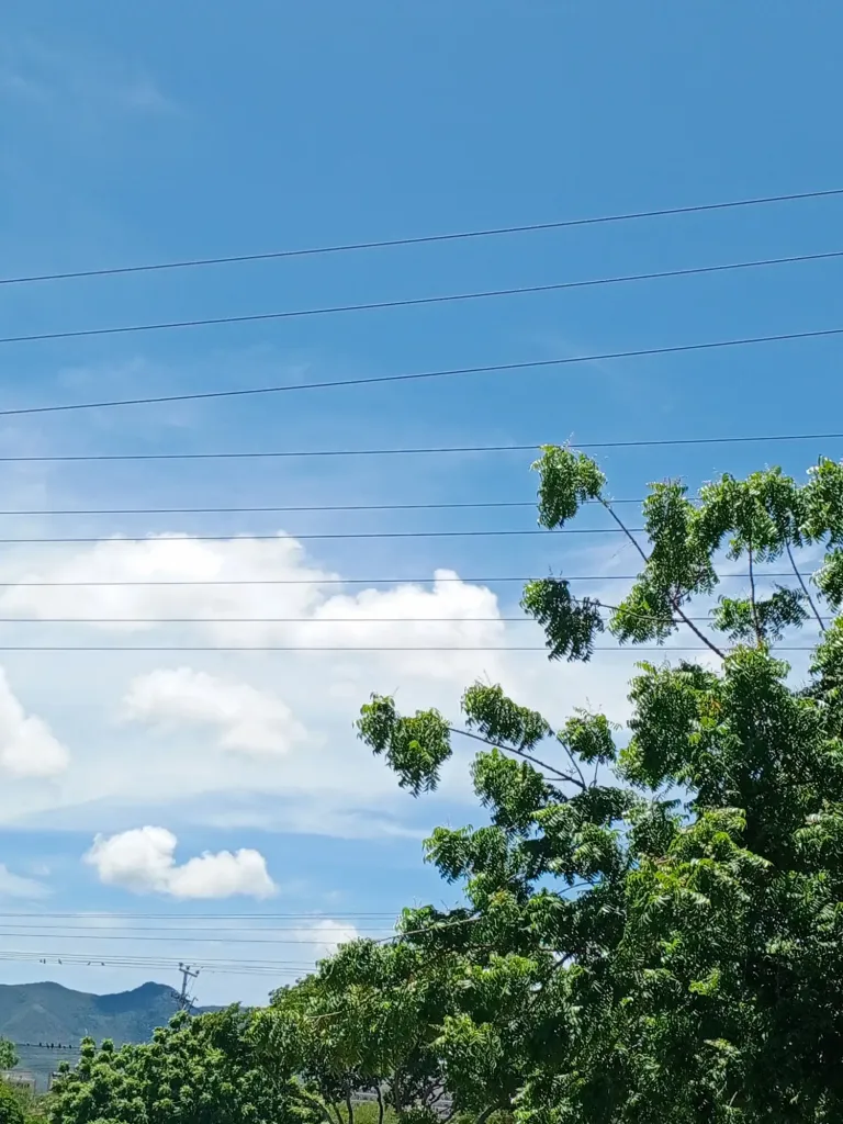 IItnh7qmEcDWJuWm_1000091458.webp
