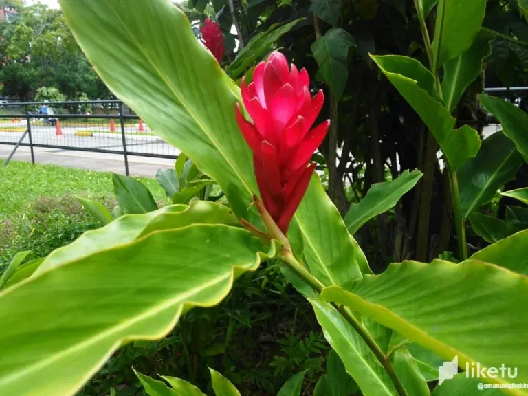 clmryfszx0379awsz9fu900u8_WhatsApp_Image_2023-09-20_at_11.45.43_AM.webp