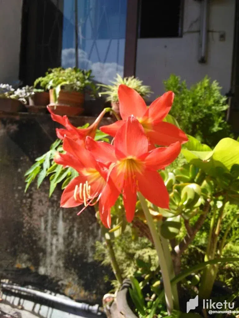 clmryg7x603b215szadgkgbti_WhatsApp_Image_2023-09-20_at_11.45.41_AM.webp