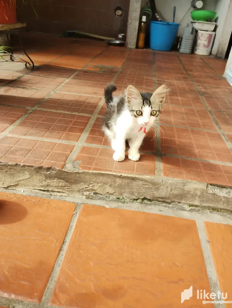 clmv3s48h03g6ajszahsjb6sa_IMG_20230922_161407829.webp