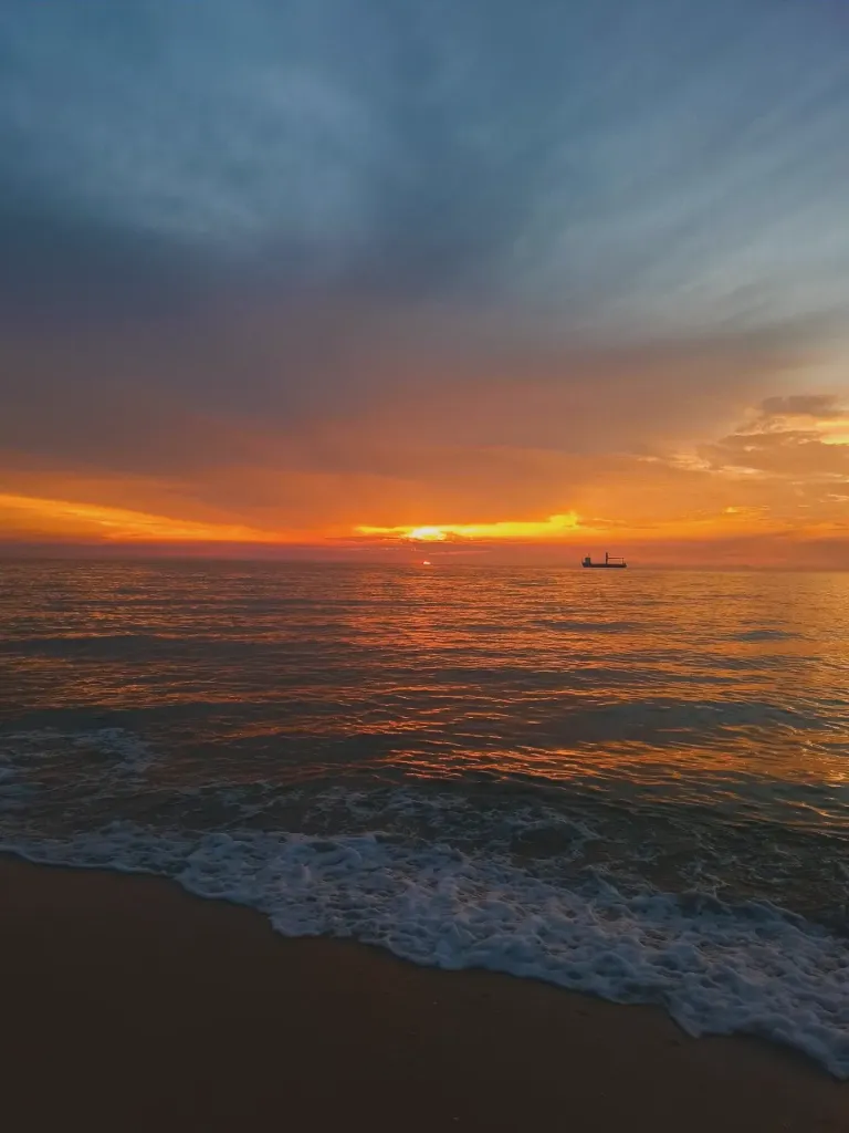 2u9dP5RjQcdopZUT_1000370985.webp