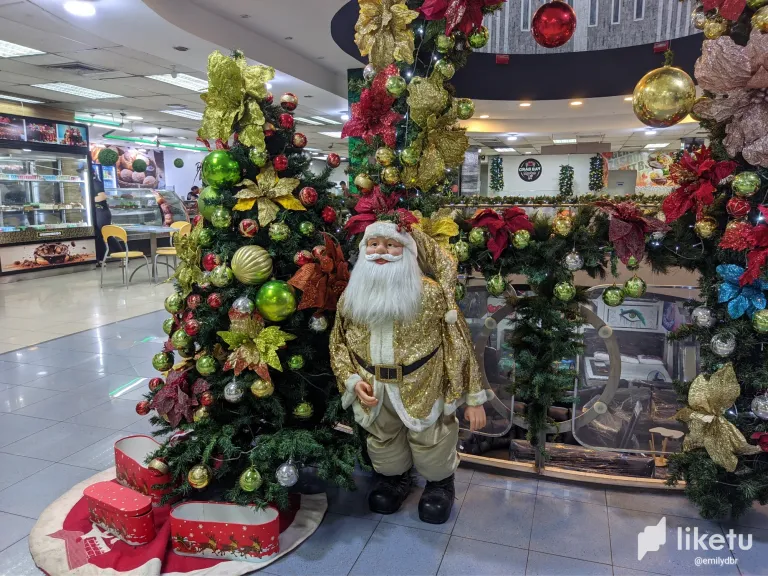 clqgtnfuy002g4jszfy6x5h60_PXL_20231221_174454359.webp