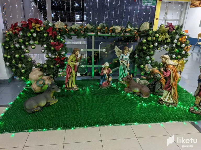 clqgtnrpv00299eszb9s555qx_PXL_20231221_174517195.webp