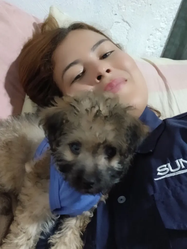 HWzWSivAtfTf2GhP_49921.webp