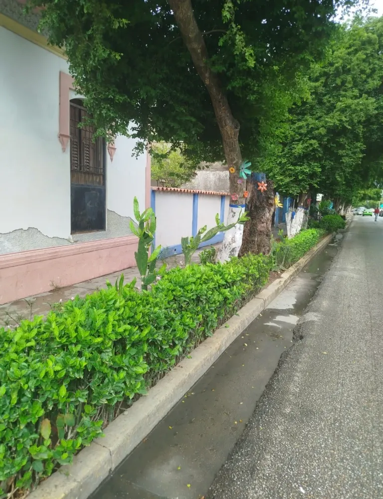 CKxRzQr3JQNYJOoS_1000045587.webp