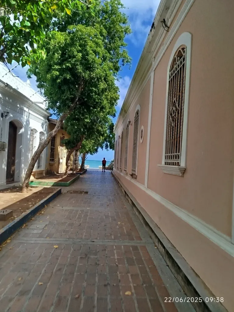 xn4nzFJSm70quCC2_1000048745.webp