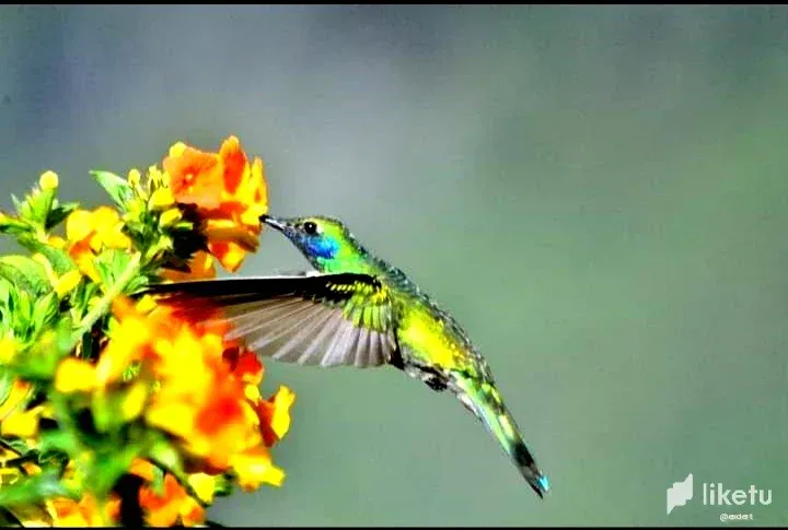 cllhnd7j7014c4zsz781069a0_Screenshot_20230819-012729_Facebook.webp