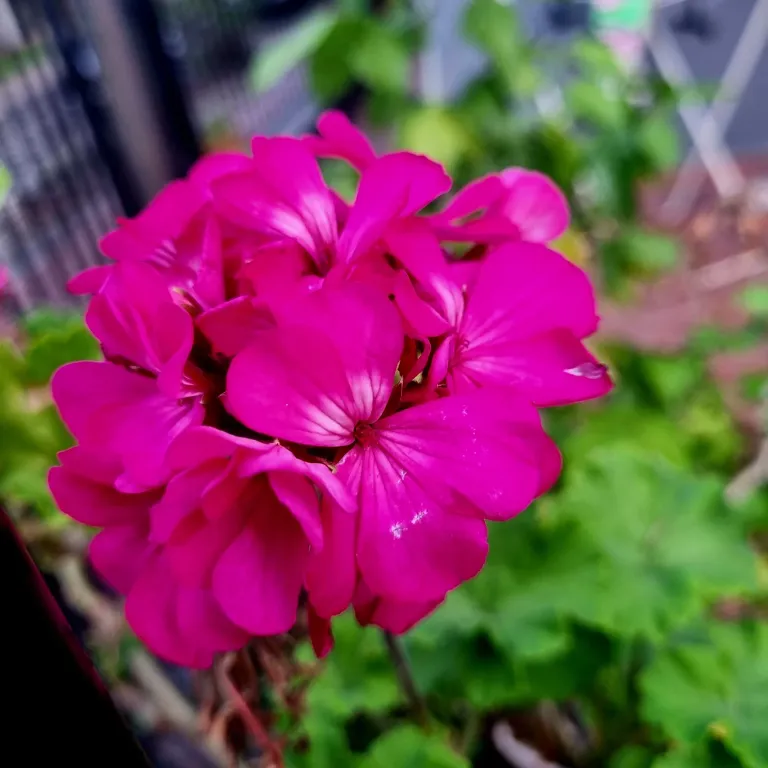 8njEAou14zWoDPsm_20250218_191657.webp