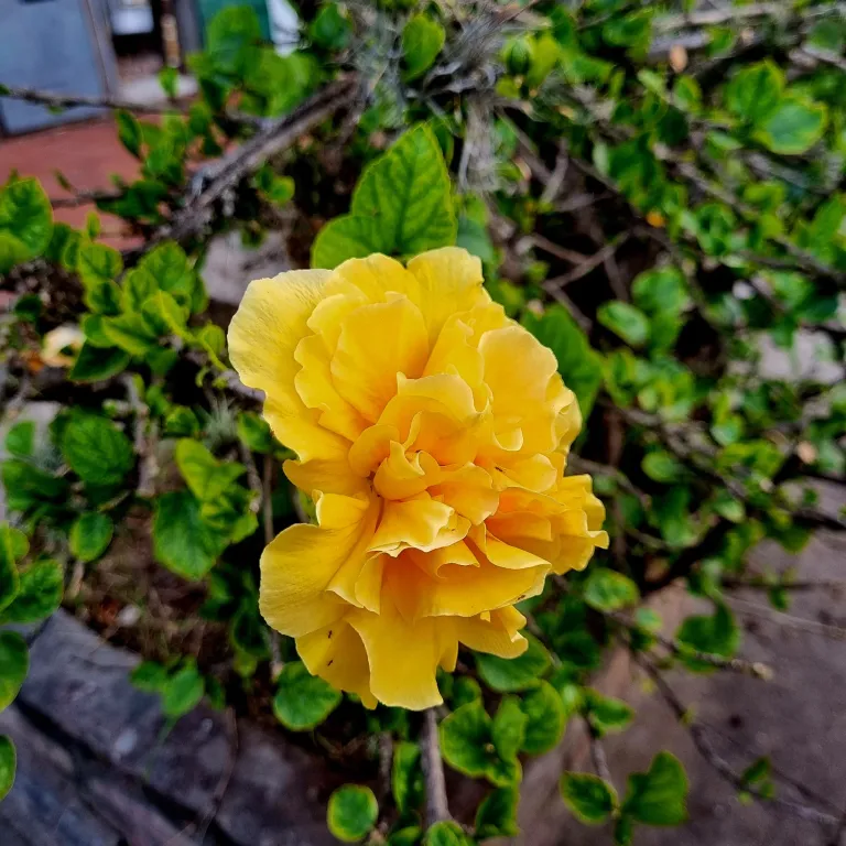 EEDO5dZmefoiHcc4_20250218_191645.webp