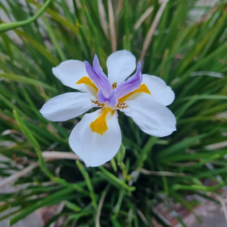 KuzsXmyEBEqOHBHU_20240917_183958.webp