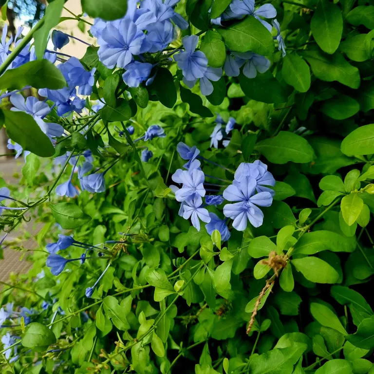 jDhPe9aAfVTbaXOH_20250218_175612.webp