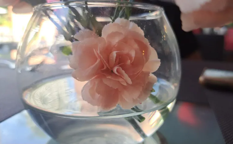 Ahy5lcRNiNiEux8Y_20250215_144851.webp