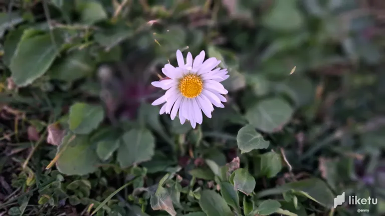 cle7vg5uu00on8gszcxhedjyi_20230203_183548.webp