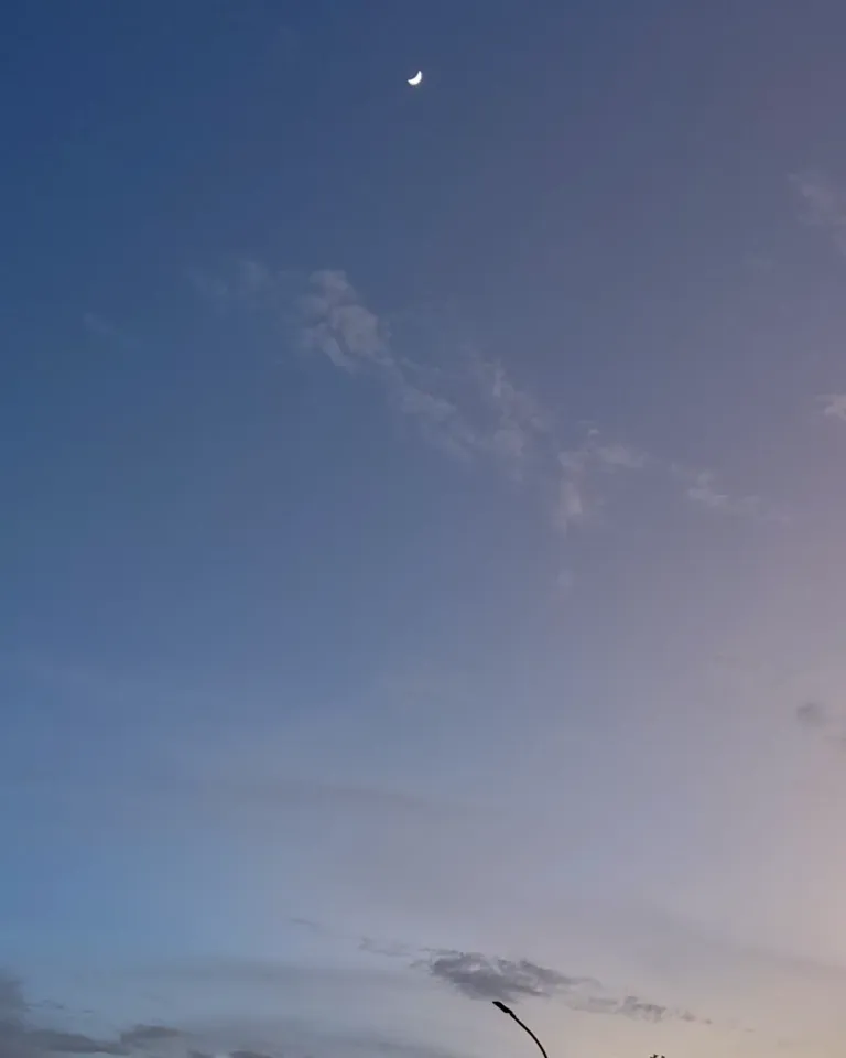 r9P8Yy8FLVRVCrRc_InShot_20250729_234619344.webp