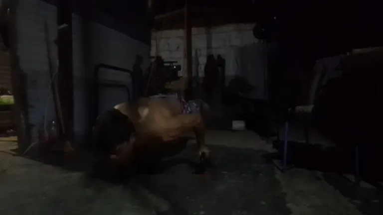 WoAzGA0AhgkhyT6a_1000197733.webp
