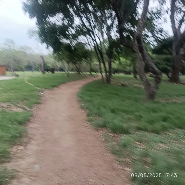 CabpdKC4AQqXrSeV_1001848485.webp