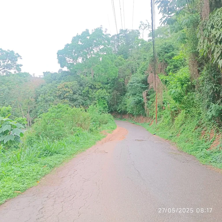OJlALKyWU0nM1gou_1001909993.webp