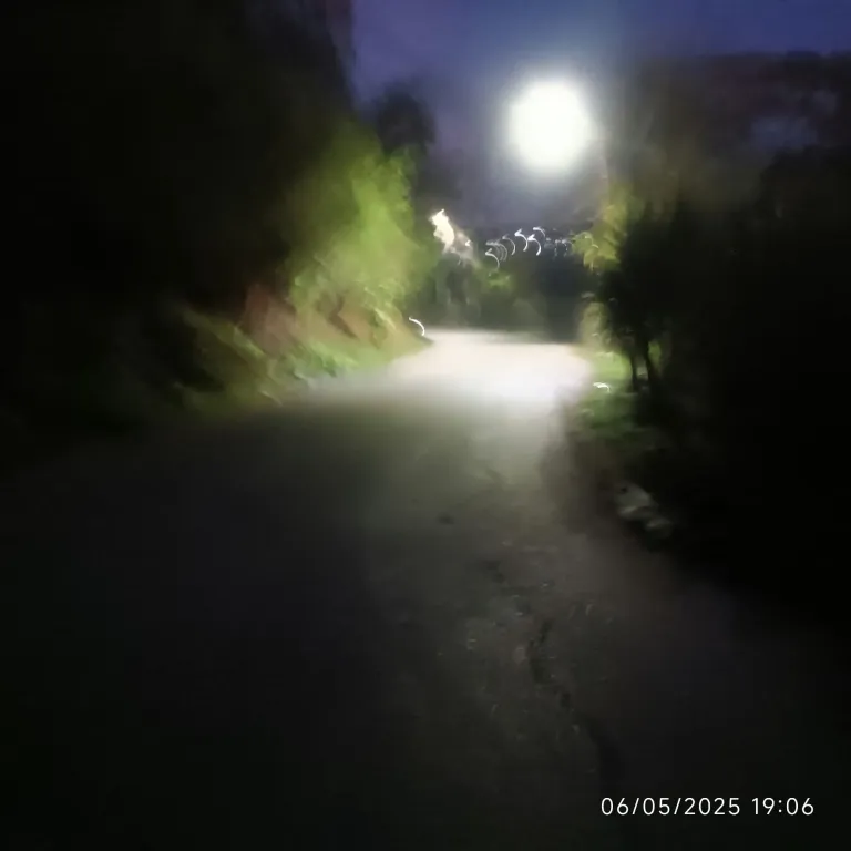 P84QIvaQEXF37FNd_1001841251.webp