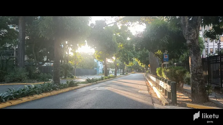 clrdxzplx08x8ljsz3sxg0sm4_1000330828.webp