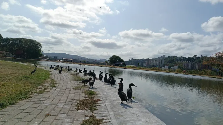 ik63htihAxuSzIBG_1001600340.webp