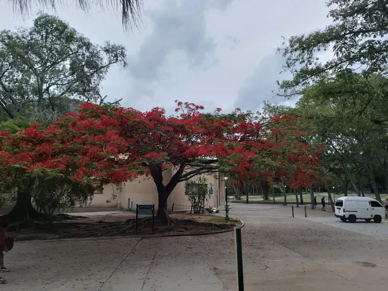 imUIX07He5CGfFLp_1003257601.webp