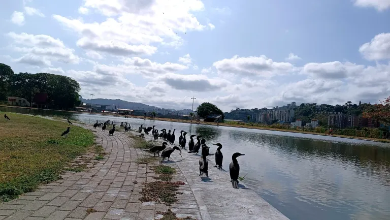 lB67csY41zdNAMH2_1001600341.webp
