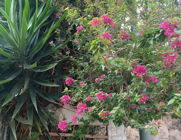 xAxtLJTKWCbKQeMR_1001841244.webp