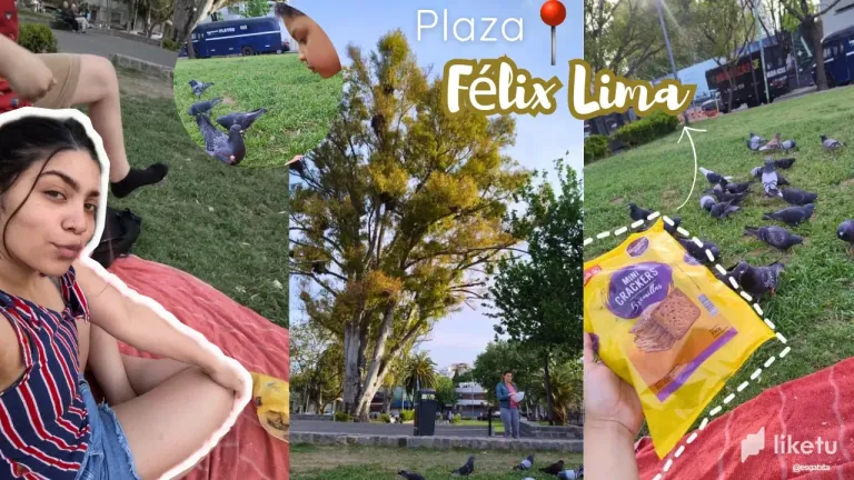 xUp31dofKpwb8V6R_Naturaleza_20241008_094655_0000.webp