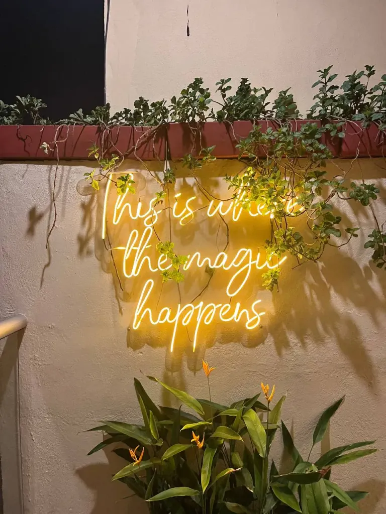 p2mGN7TIVZl6yIb7_IMG_0323.png