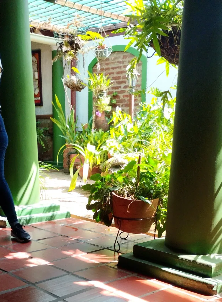 s2cT3bVRekUdHFFv_IMG_20250412_213148.webp