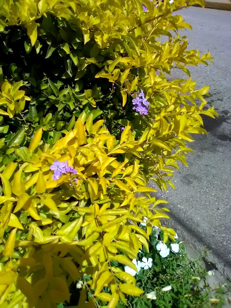 cl8szh8se034k0vkcecck5i55_IMG_20180814_102453.webp