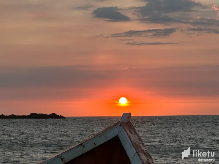 NHrX9VRUfnzmmgsm_IMG_5354.webp