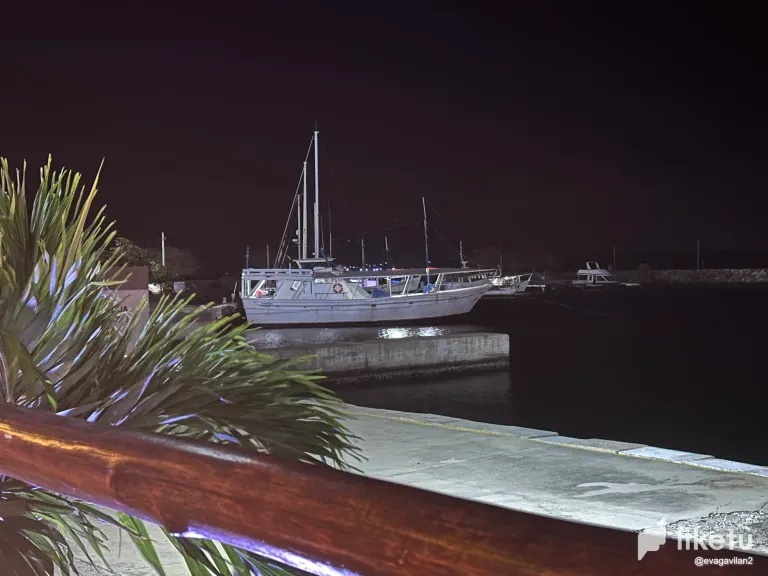 clrpfzd8b01pjkgszbs1l2flr_IMG_2199_2.webp