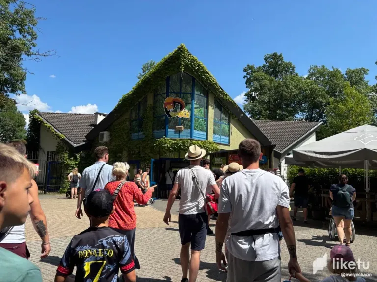 tMf5Djnv9bRlFP6q_photo_2025-07-20_22-41-32.webp