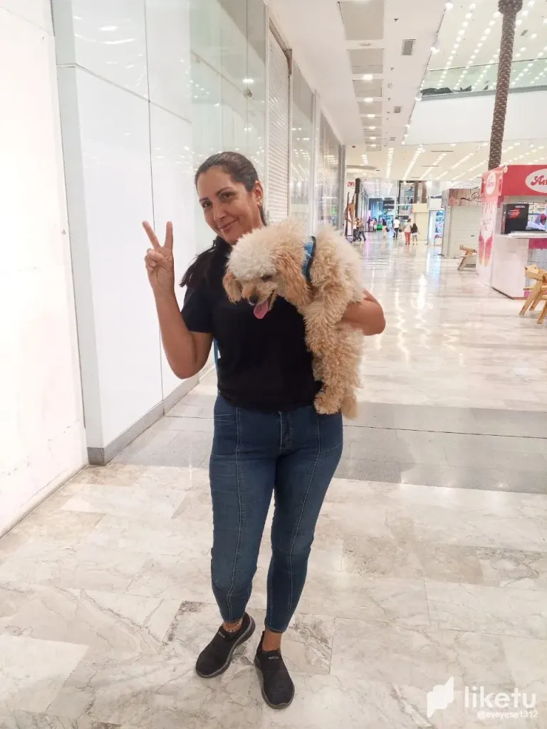 1XL2giYtQyAWsQZb_photo_2024-08-12_17-08-52.webp