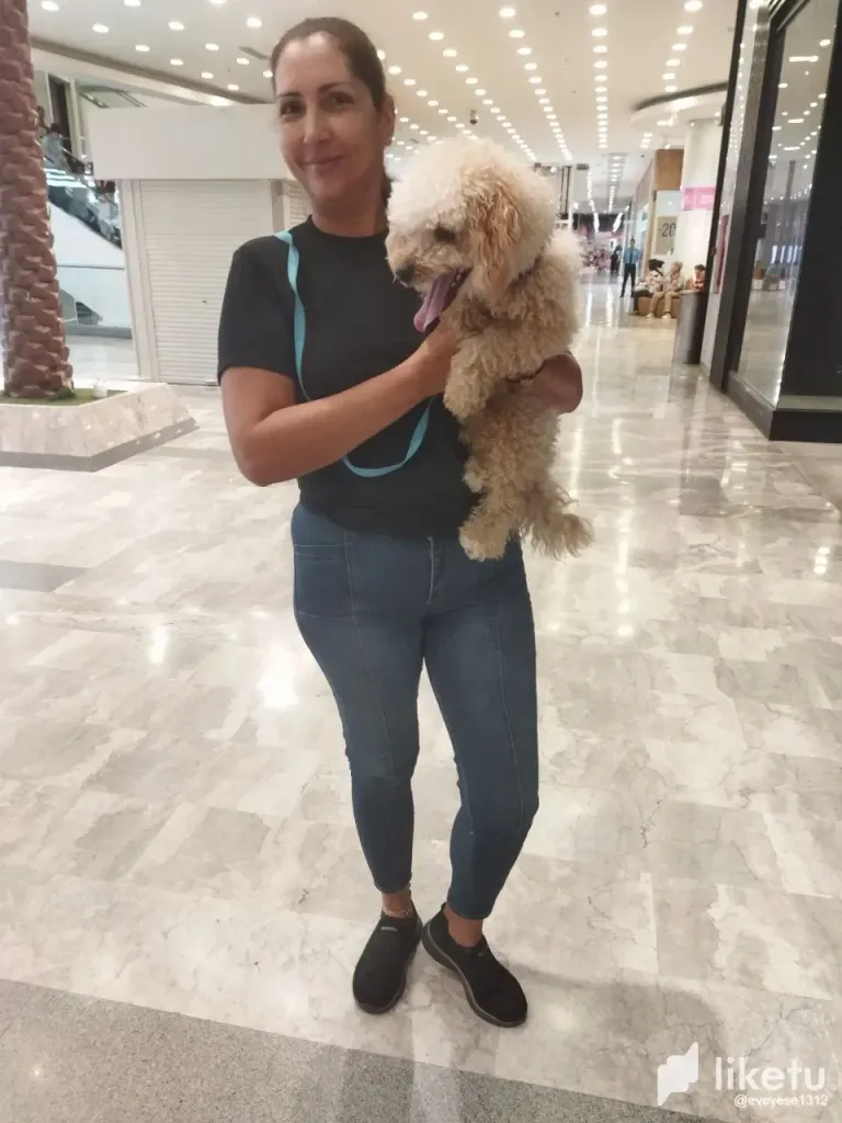 F5mqAfjba1FIPKt2_photo_2024-08-12_17-10-31_2.webp
