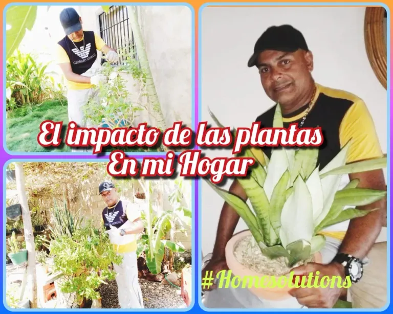 moXn1XXVk84T5xaP_IMG-20250225-WA0022.webp