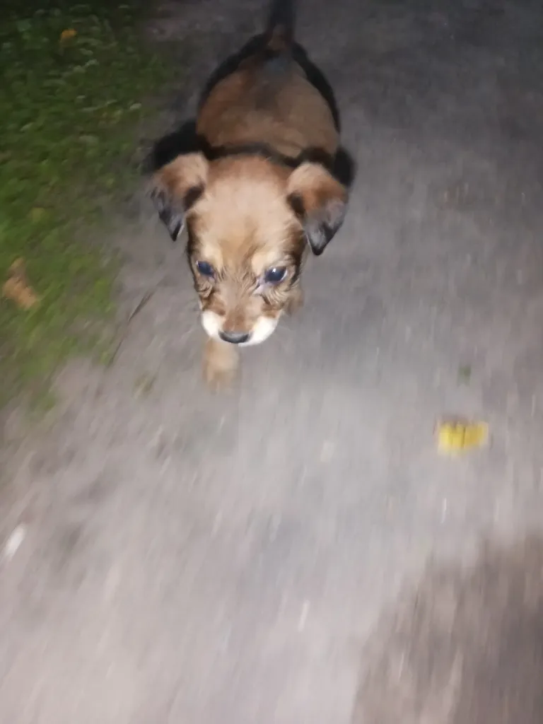 KbEt8GYQff4IooHk_IMG_20250107_182531_355.webp