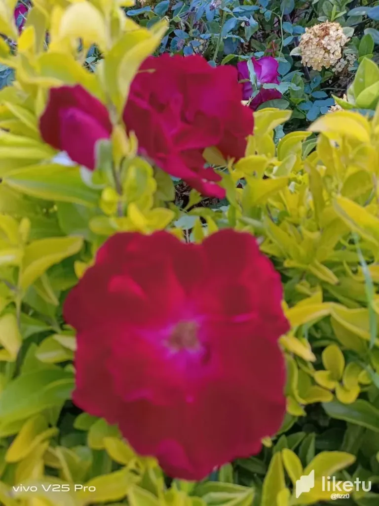 clpe212xb02bfbfszgjave4g4_IMG-20231125-WA0002.webp