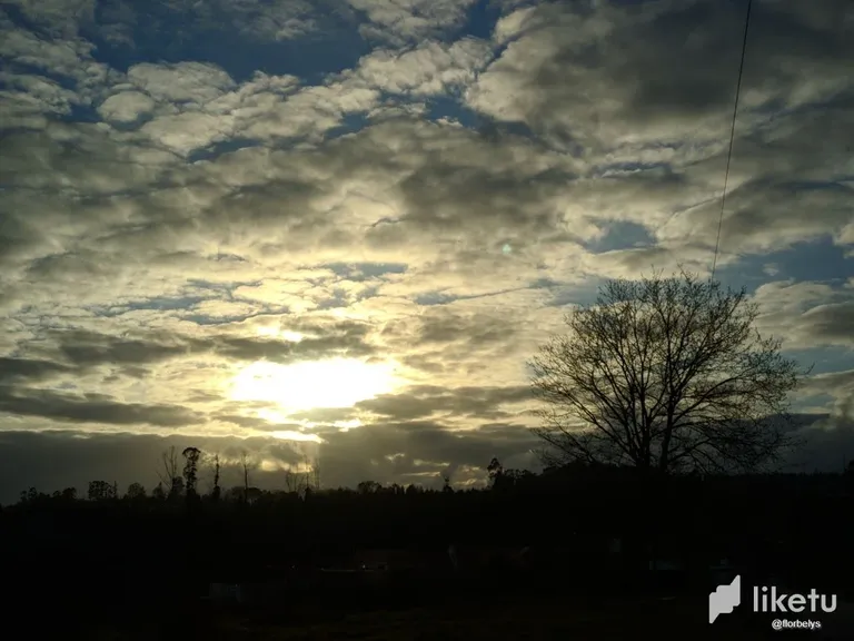 clic4od5k001f2fszhvgahkaz_photo1685562684_5.webp