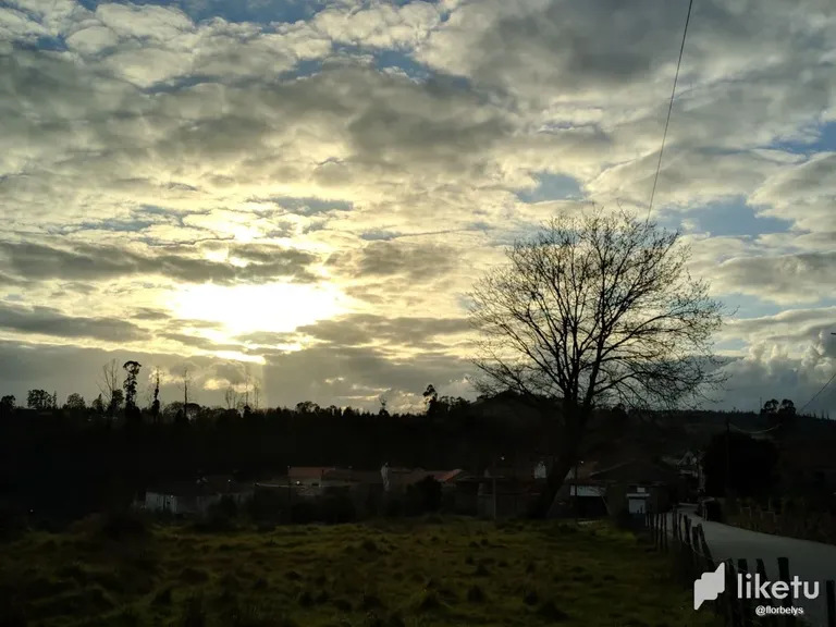 clic4og9l001115szbqvacvud_photo1685562684_6.webp