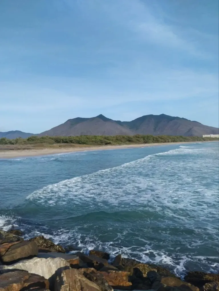 J6xxnaytdMU203C7_1001315106.webp