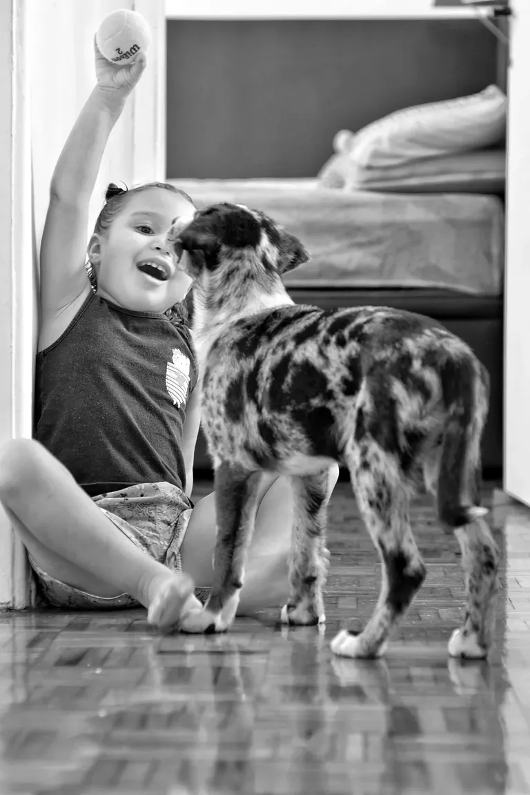 cl7qnsoa0009u1lm7eqnhcgua_Foto_06-04-2020_12_04_43.webp