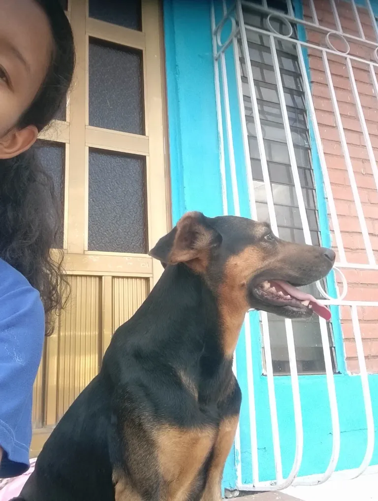 VLgFuTHoec8M8nc5_3.webp