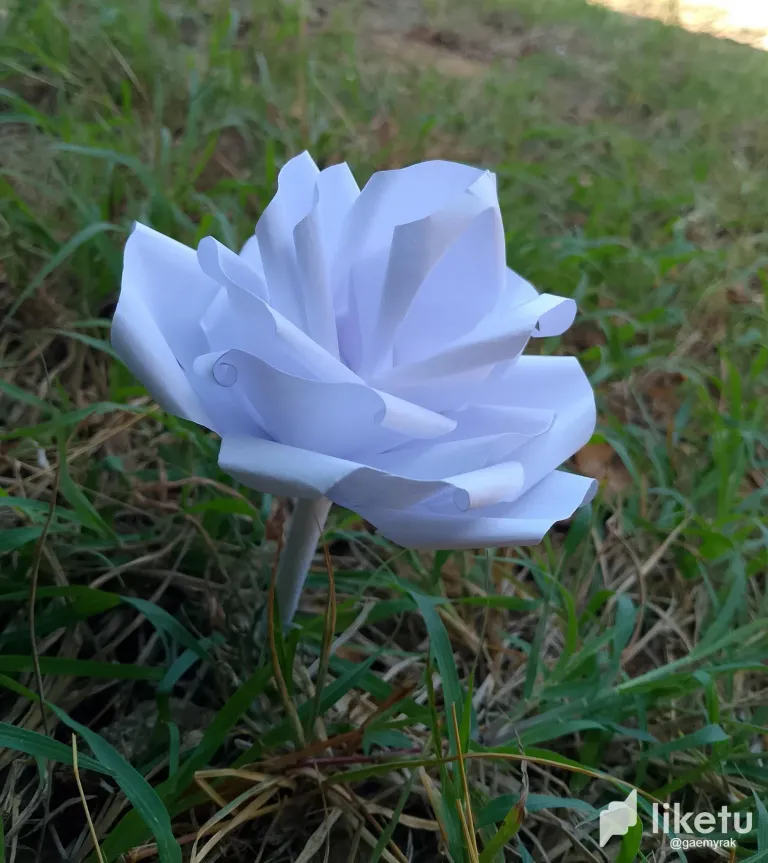 oCXFV2mWJ6vf0x5D_o_6.webp