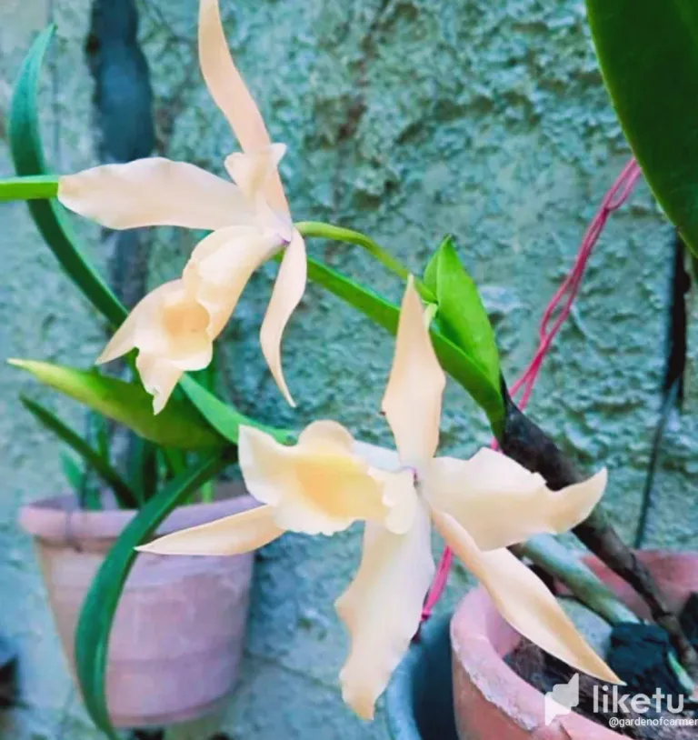 clt0p0suq0012zisz01ndewvw_Screenshot_20240219-205028_1.webp