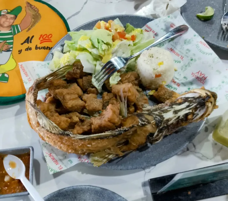 1LDdWitJ5xiy61xP_1000343678.webp
