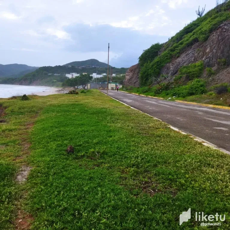 BpEY0jrqZolEm4eh_IMG-20250624-WA0177.webp