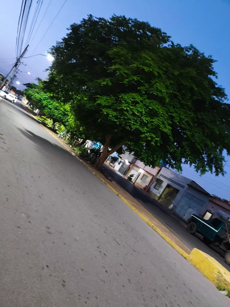 7GVel5gPxvT9tbLS_1000002816.webp
