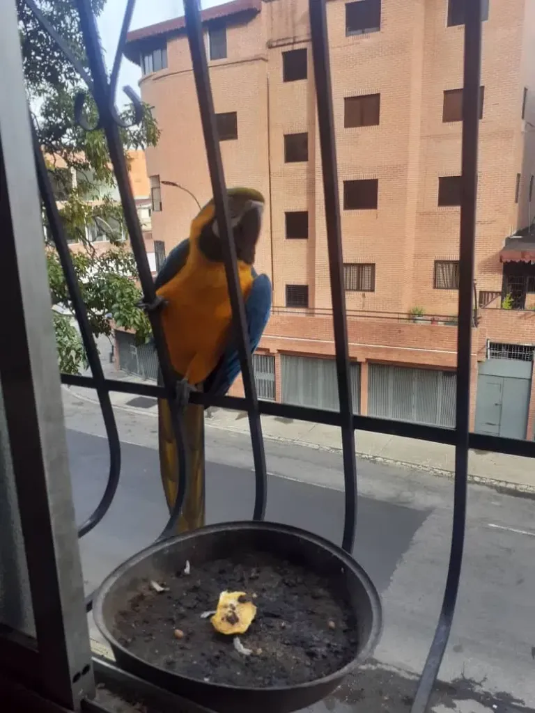pi6kDHqaGzCBk15E_IMG-20250601-WA0064.webp
